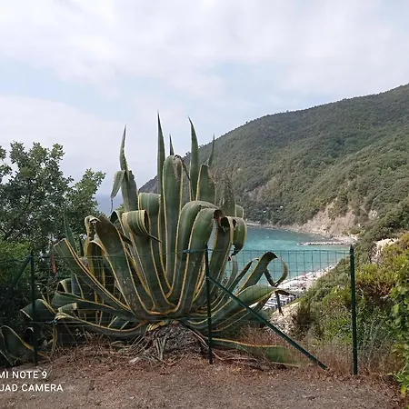 Casafischea18 公寓 *